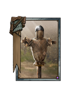 Decoy