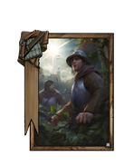 Reconnaissance